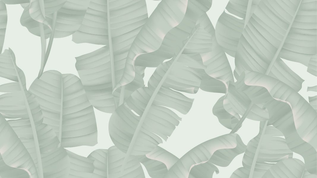Green Banana Leaves Wallpaper Mural