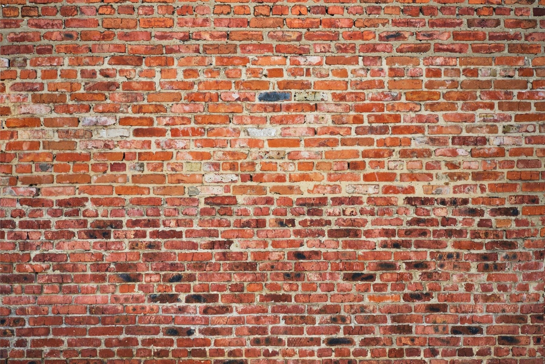Rustic Red Brick Wallpaper Mural