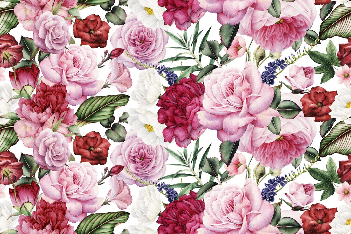 Trendy Pink and Red Rose Wallpaper