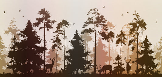 Autumn Dark Silhouette Forest with Deer Wallpaper