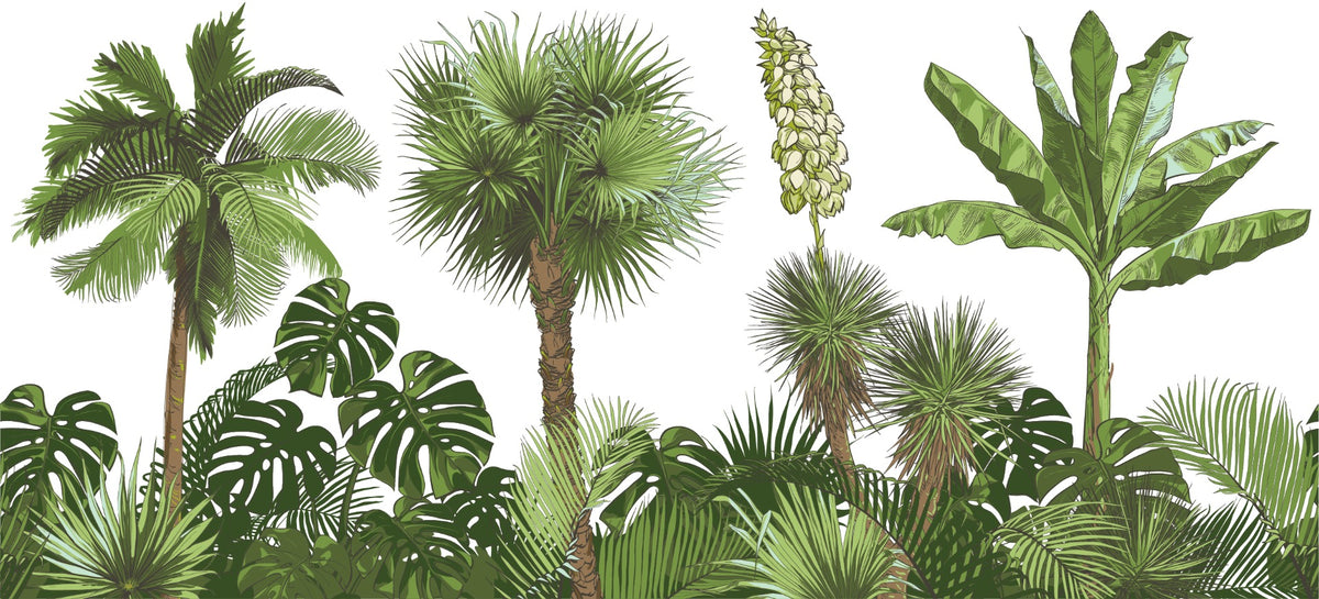 Green Forest Palm tree Wallpaper Murals in your room — zoomed