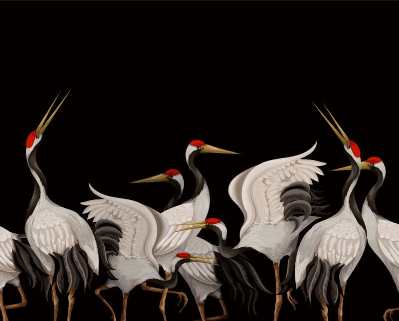 Japanese White Cranes Oriental Wallpaper Murals