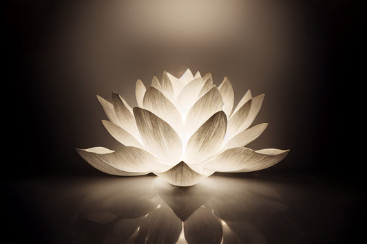 Abstract Lotus Flower wall mural close-up of a glowing white lotus blossom on a dark brown background