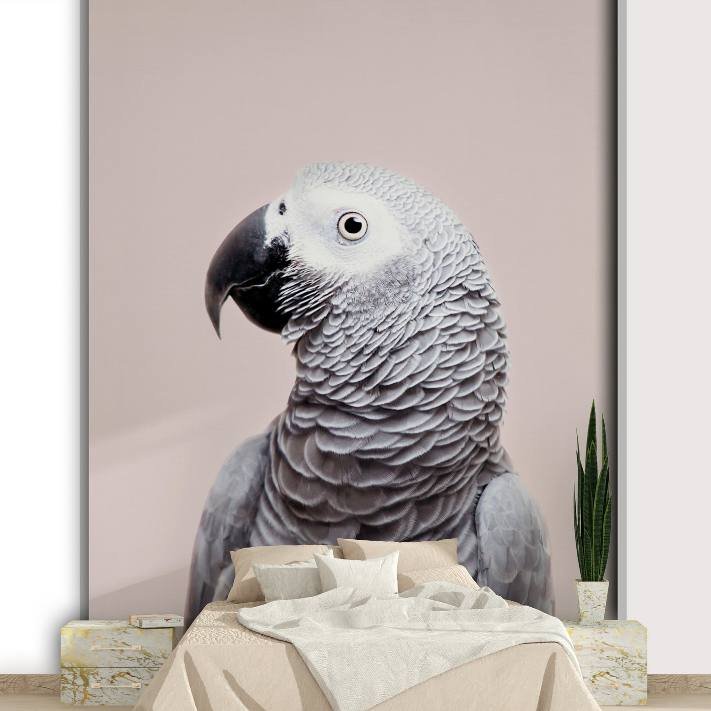 African Grey parrot wall mural in lifelike detail

