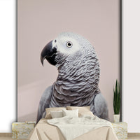 African Grey parrot wall mural in lifelike detail

