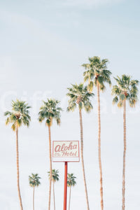Aloha Hotel wall mural showing tall palm trees and a vintage red Aloha Hotel sign against a pale blue sky