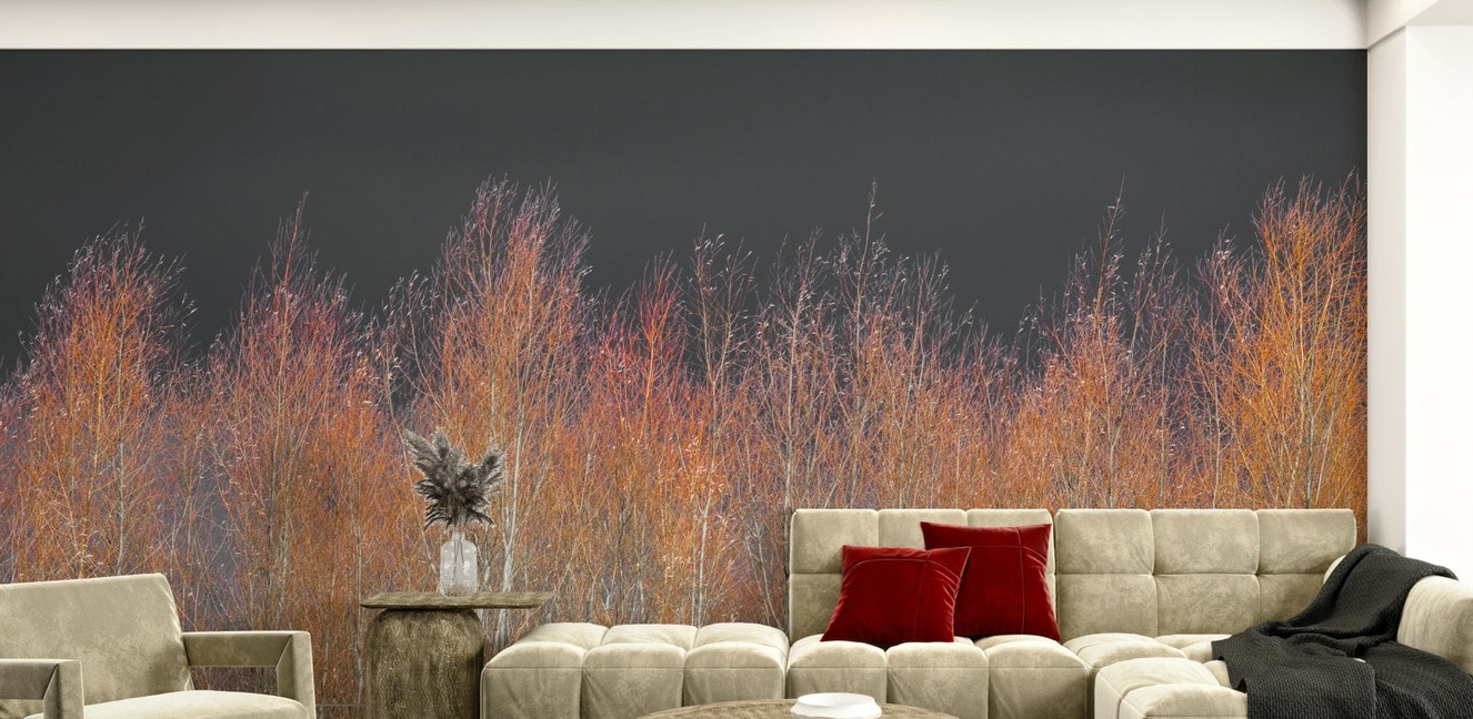 The overall feeling is one of quietness, peace, and natural beauty.
