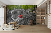 Quintessential Amsterdam bike mural

