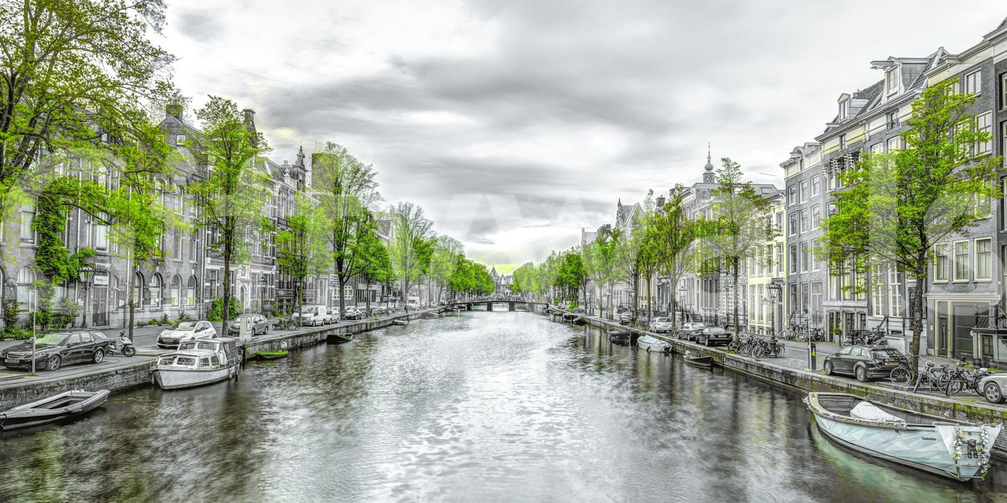 Amsterdam Canal Serenity wallpaper mural close-up showing the gray Amsterdam canal lined with green trees and moored boats
