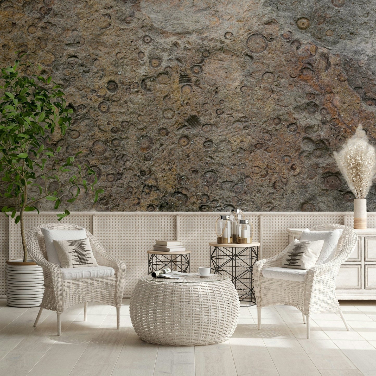 Ancient Fossil Texture Wall Mural -2566608