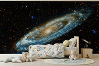 Andromeda Wall Mural