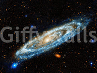 Andromeda Wall Mural