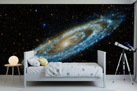 Andromeda Wall Mural