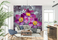 Floral wall mural with anemone blossoms for apartment bedroom, blush color accents, calm style