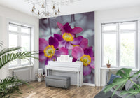 Dining room feature wall mural with anemone blooms, muted pink color, contemporary decor