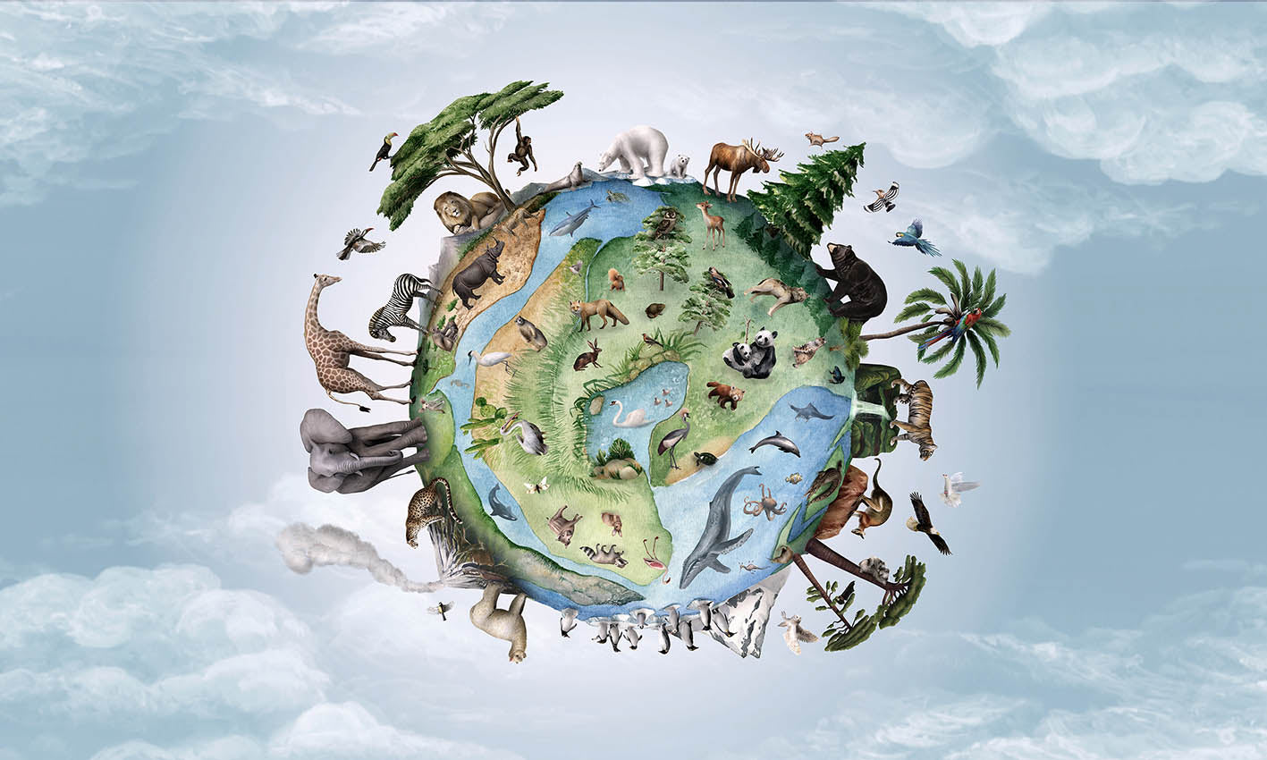 Animals Around Earth Wallpaper in your room — zoomed