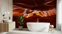 Contemporary hallway decor featuring a wildlife art mural and indoor plants.