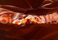 Antelope's Embrace Wall Mural in a modern apartment living room with a gray sofa.