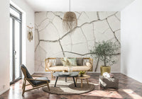 Arid Earth Abstract Wall Mural -2306166