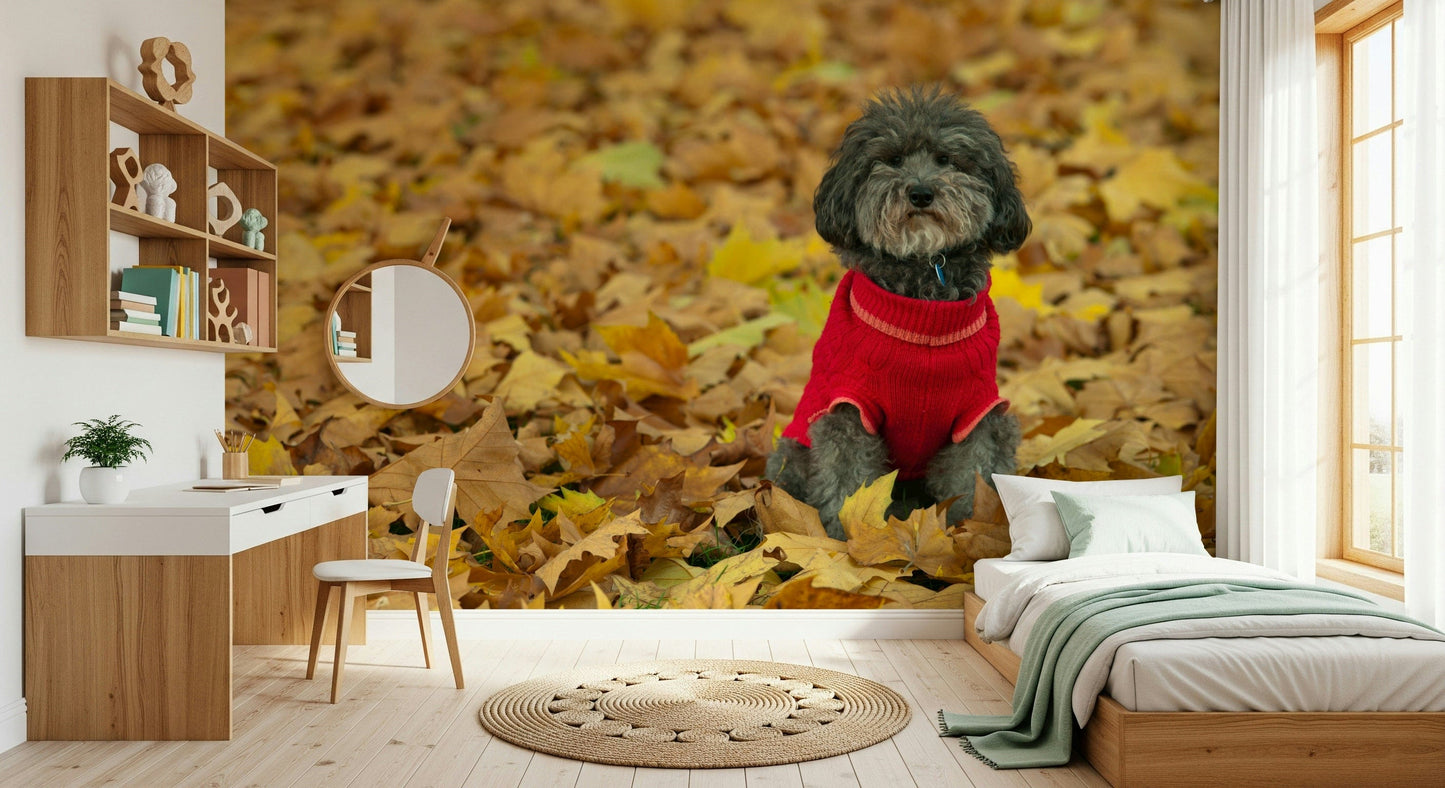 Delightful Pup canine friend wall mural bright red jumper.
