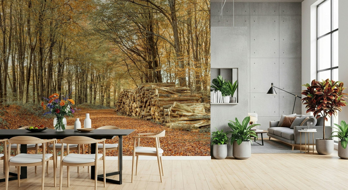 Woodland path covered in rich foliage, Autumn Forest Scene wall covering.