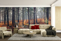 A calming serene forest wallpaper mural that defines a space.

