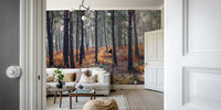 A peaceful open woods mural on decorative wallpaper.

