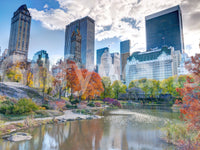 Autumn in the City accent mural, idyllic park scene below dramatic clouds.