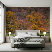 Autumn hillside wallpaper filled with deep reds, golds, and rustic tree silhouettes.