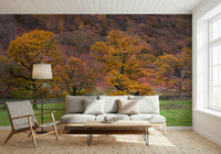 A serene autumn landscape wallpaper with golden leaves and distant forested hills.