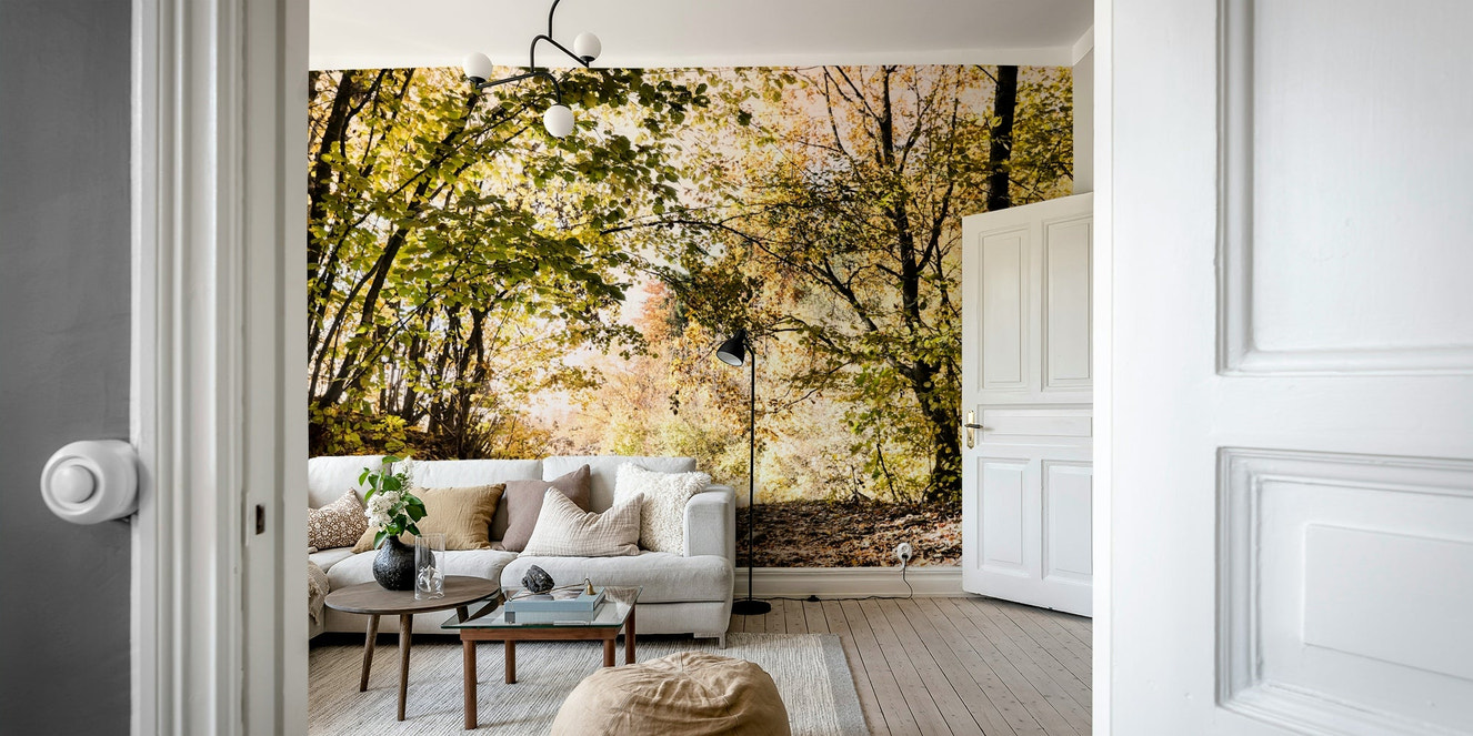 A photo-realistic wall mural of an autumn pathway in a forest.

