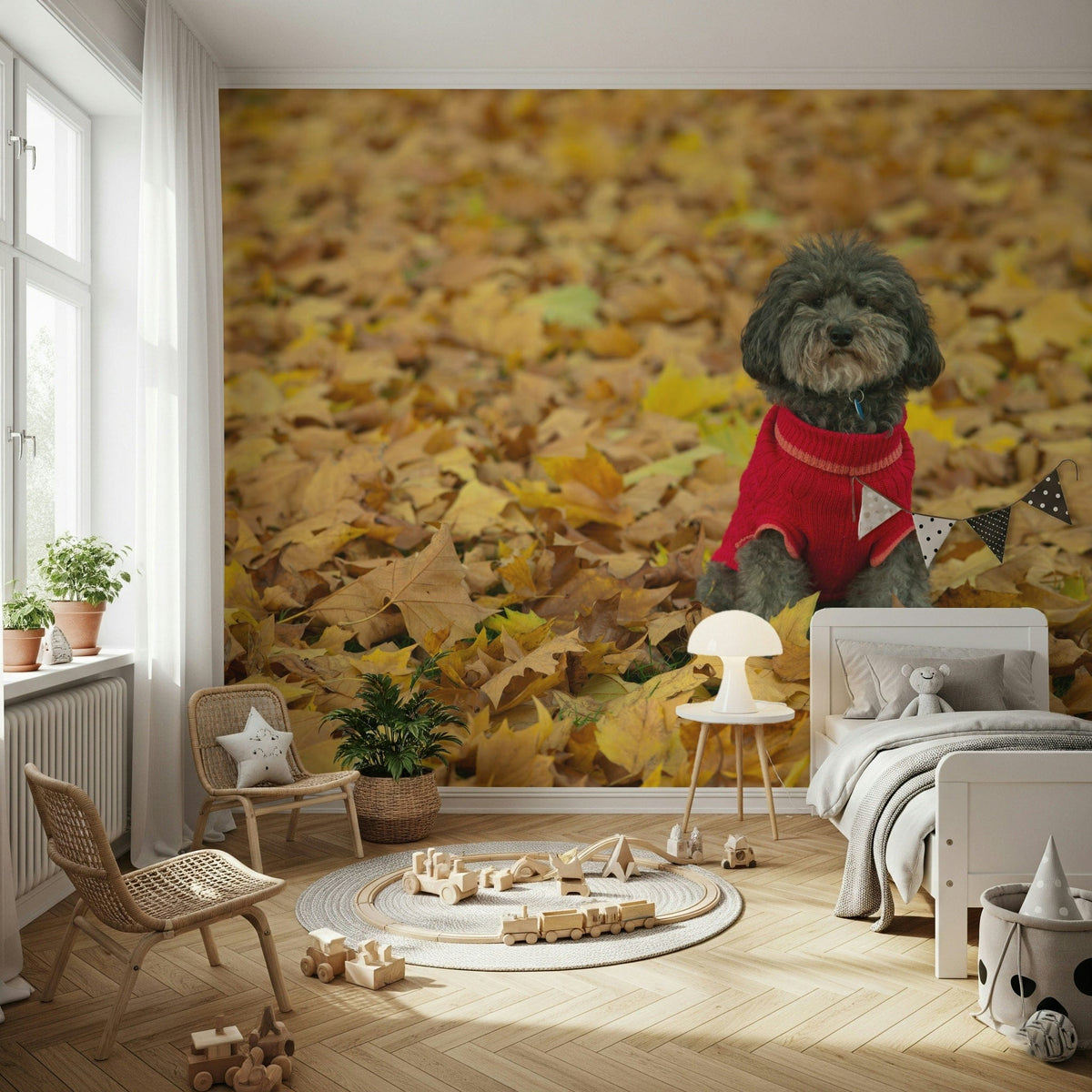 Autumn Pup waiting patiently wallpaper charming doggo image.