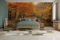 A serene fall season wall mural for your decor.

