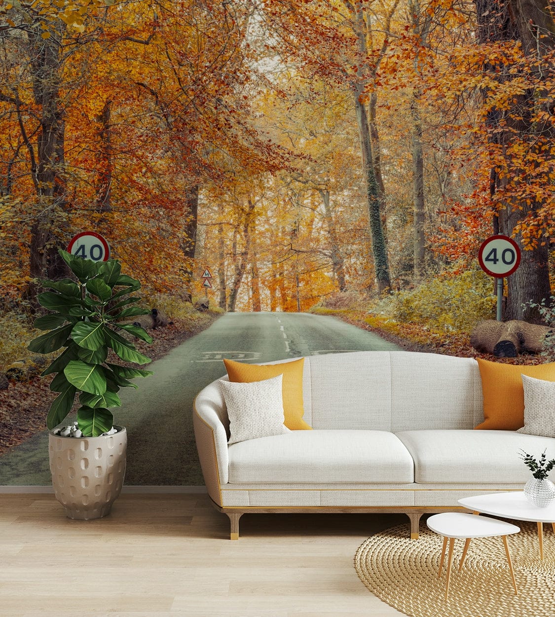 Wall mural of a scenic drive through fall colors.

