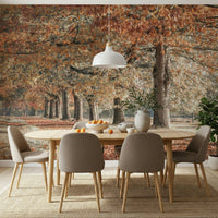 Seasonal Fall Splendor wall paper, forest path, colorful autumn canopy.