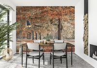 Fall Splendor wallpaper mural, path lined with towering autumn trees.