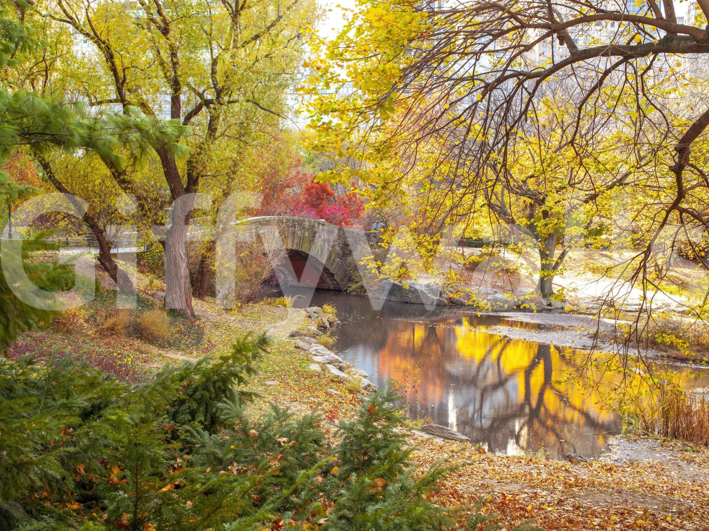 Warm autumn colors in a detailed landscape mural design

