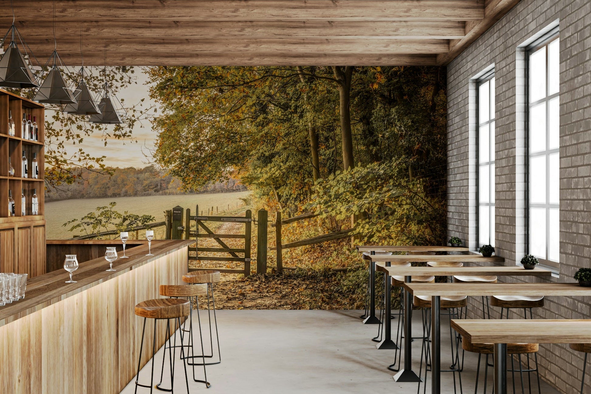 Vibrant fall foliage colors (reds, oranges, yellows, browns).

