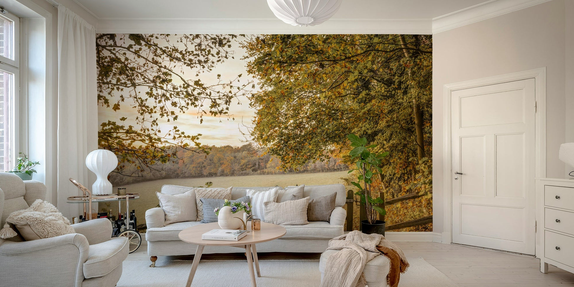 Focus on light filtering through leaves.

