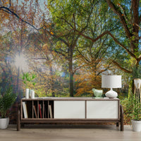 Autumn leaves mural wallpaper


