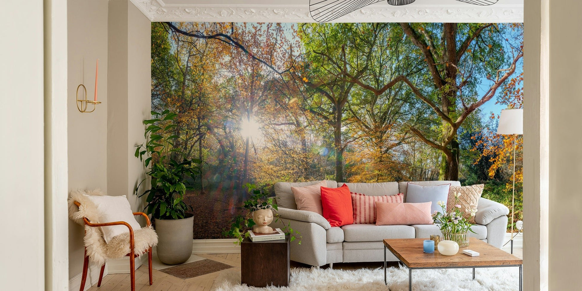 Fall forest light wallpaper

