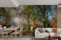 Seasonal woodland wallpaper mural


