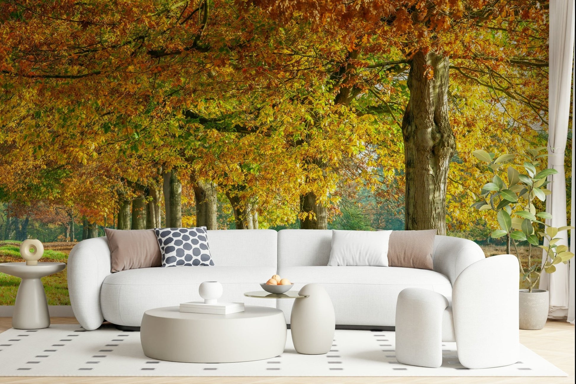 Autumn's Avenues Wall Mural