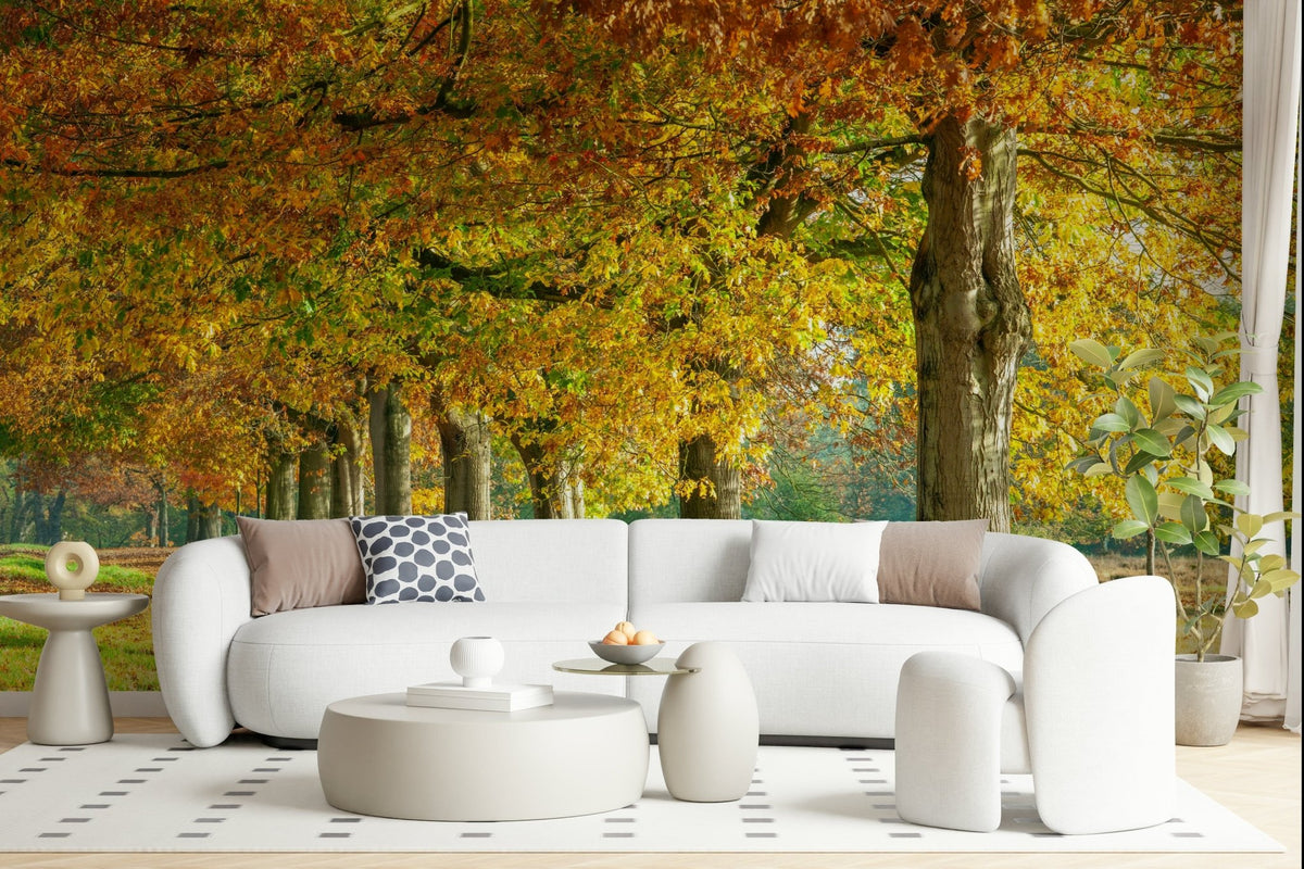 Autumn's Avenues wallpaper mural of an autumn tree avenue behind a curved white boucle sofa with round ottomans