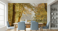 Fall woodland path wallpaper in hallway, modern apartment styling, soft color gradients