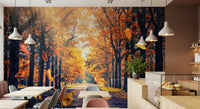 Nature wallpaper with a scenic forest trail during fall season