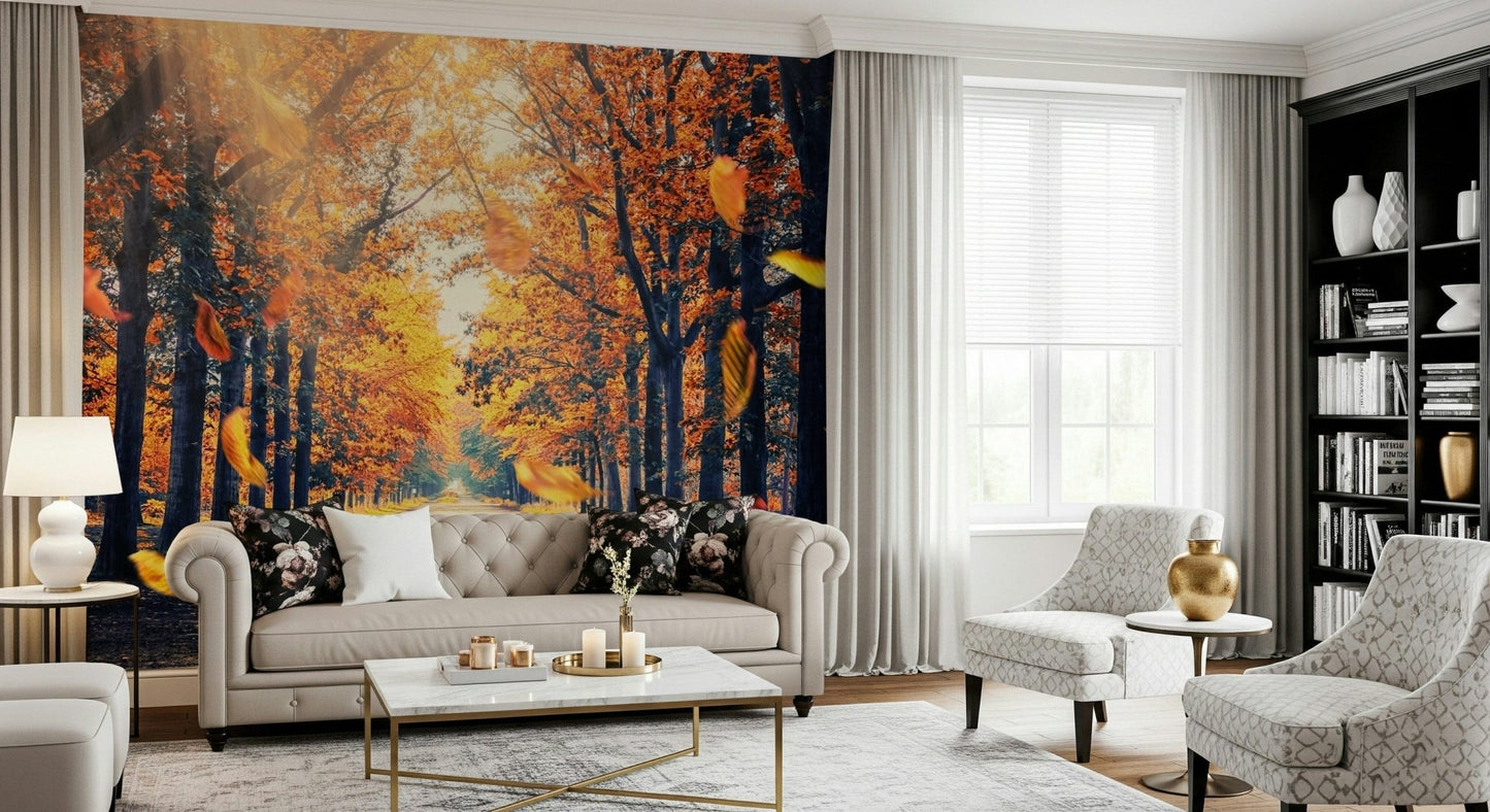 Forest wallpaper depicting sunlight through autumn trees along a quiet path