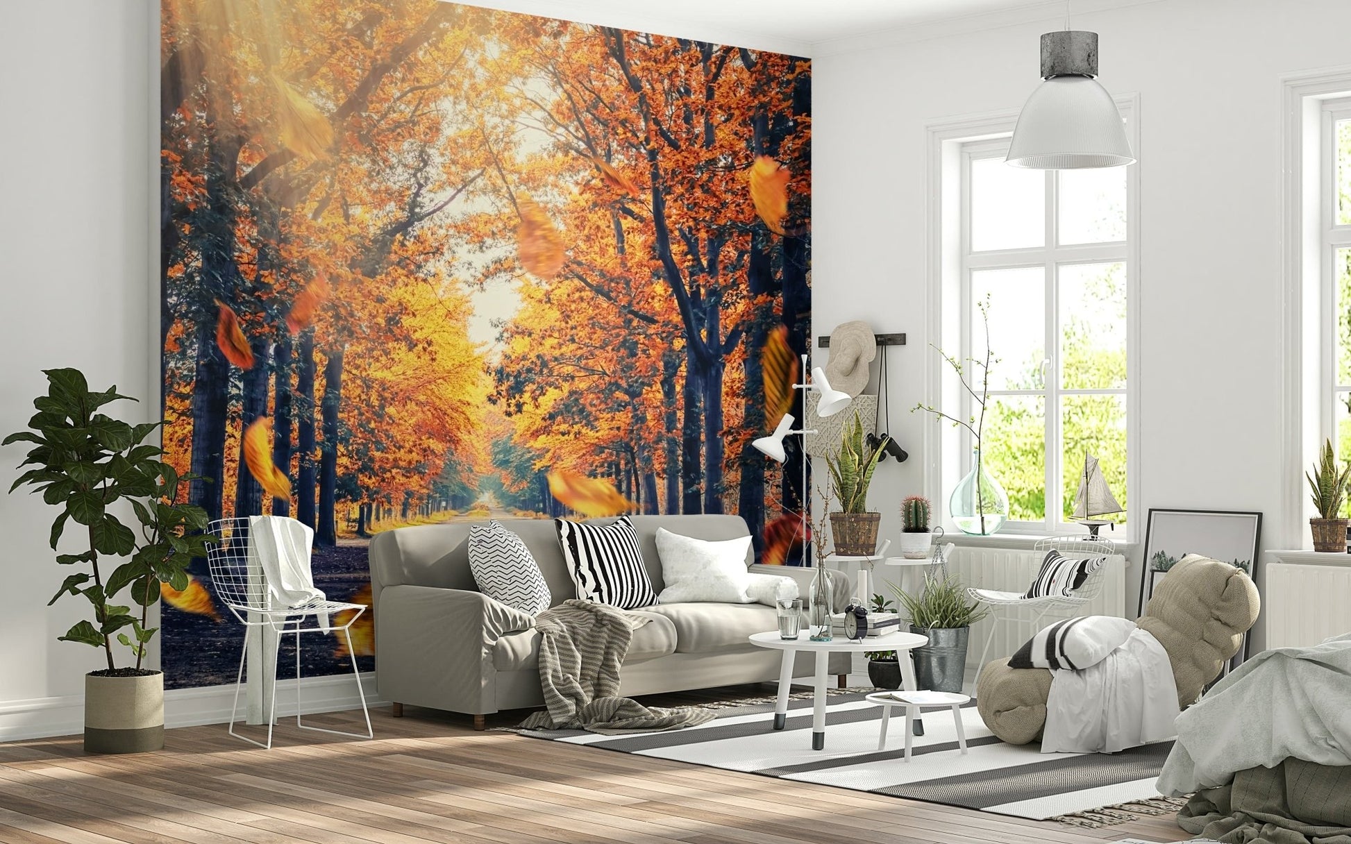 Tree wallpaper with tall trees and a leaf-covered path in autumn