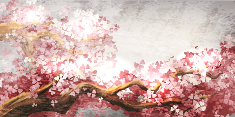 Pink Flower Sakura Branch Wallpaper Murals in your room
