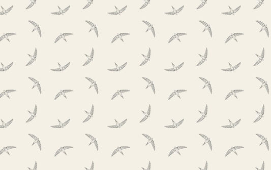Beige Color Flying Swallow Bird Wallpaper